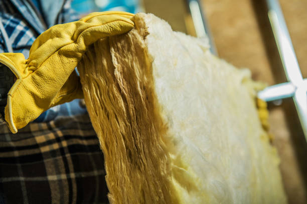 Best Insulation Maintenance and Repair in Centerville, SC